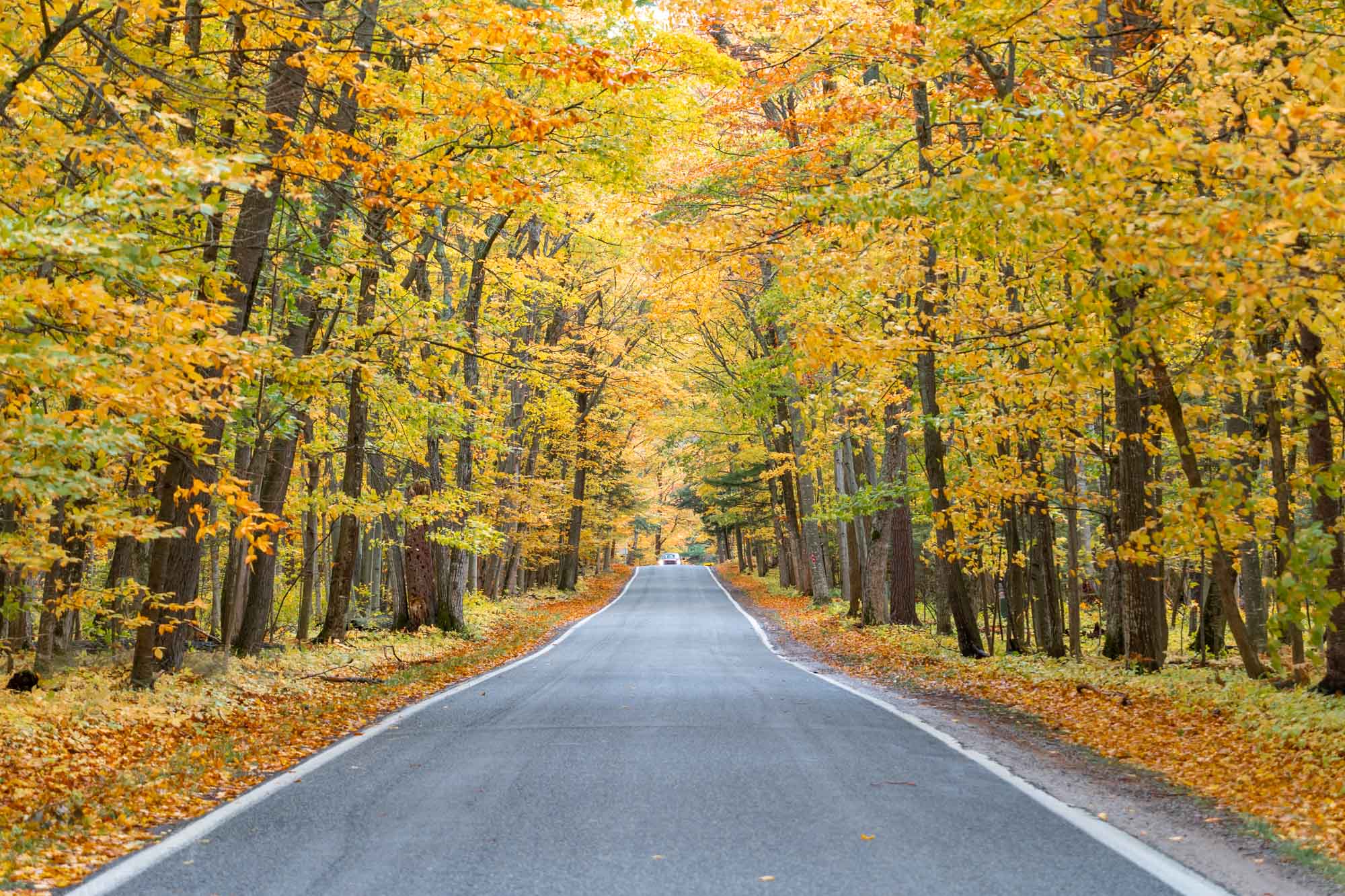 Michigan fall road trip itinerary