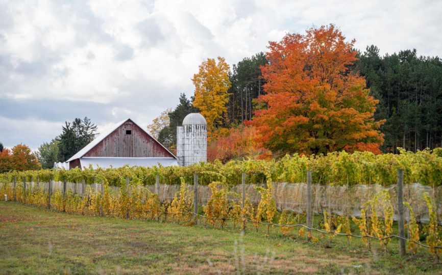 How to Spend One Epic Day on Michigan’s Leelanau Peninsula