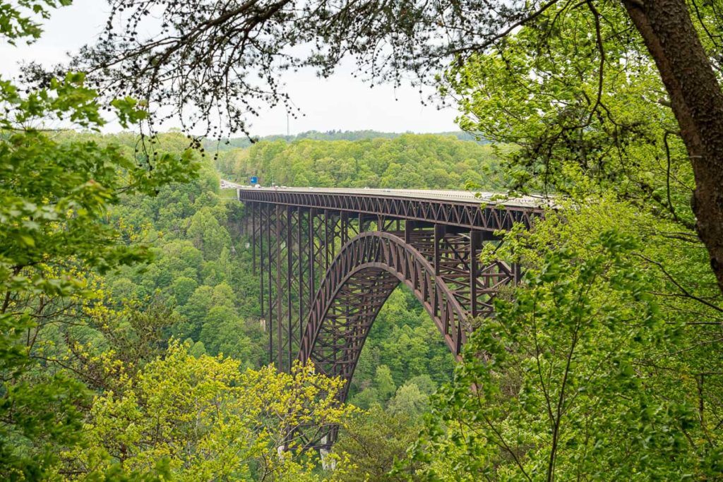 New River Gorge Bridge through the trees