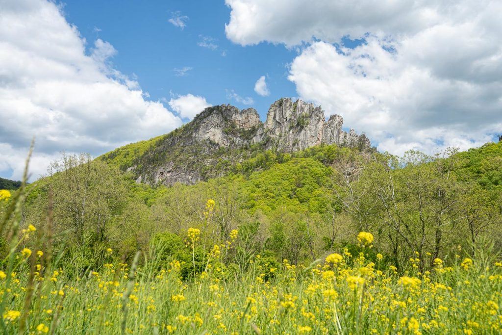 Seneca Rocks