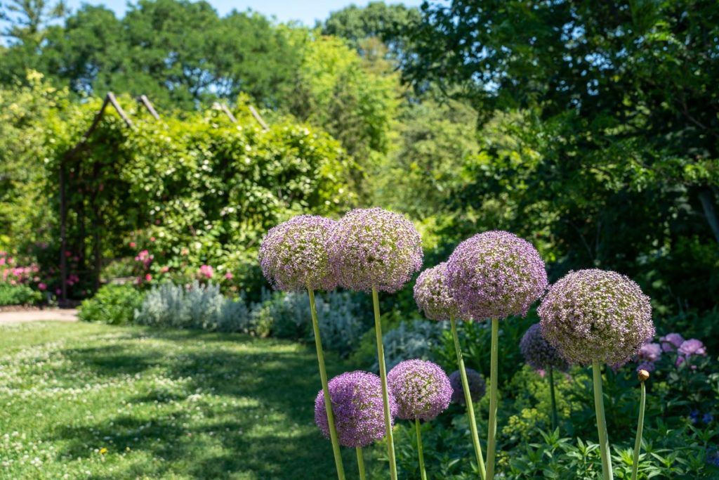 Olbrich Botanical Gardens in Madison