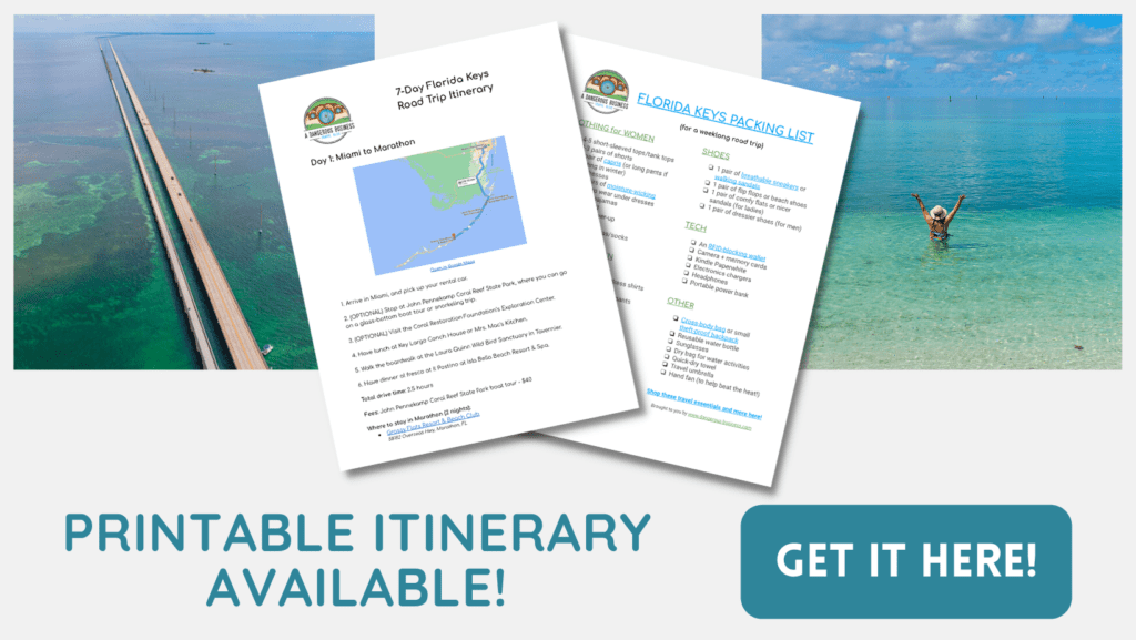 Best Time To Visit The Florida Keys: When To Go And When To Avoid