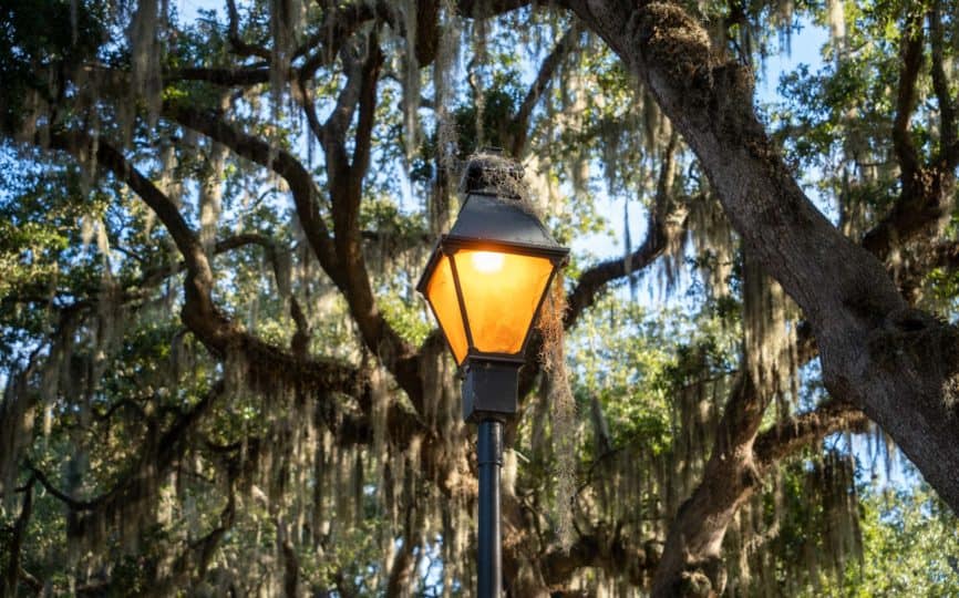 5 Days in Savannah: The Perfect Day-By-Day Itinerary