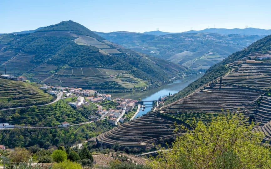 Is Taking a Douro Valley Tour from Porto Worth It? (Spoiler: Yes!)