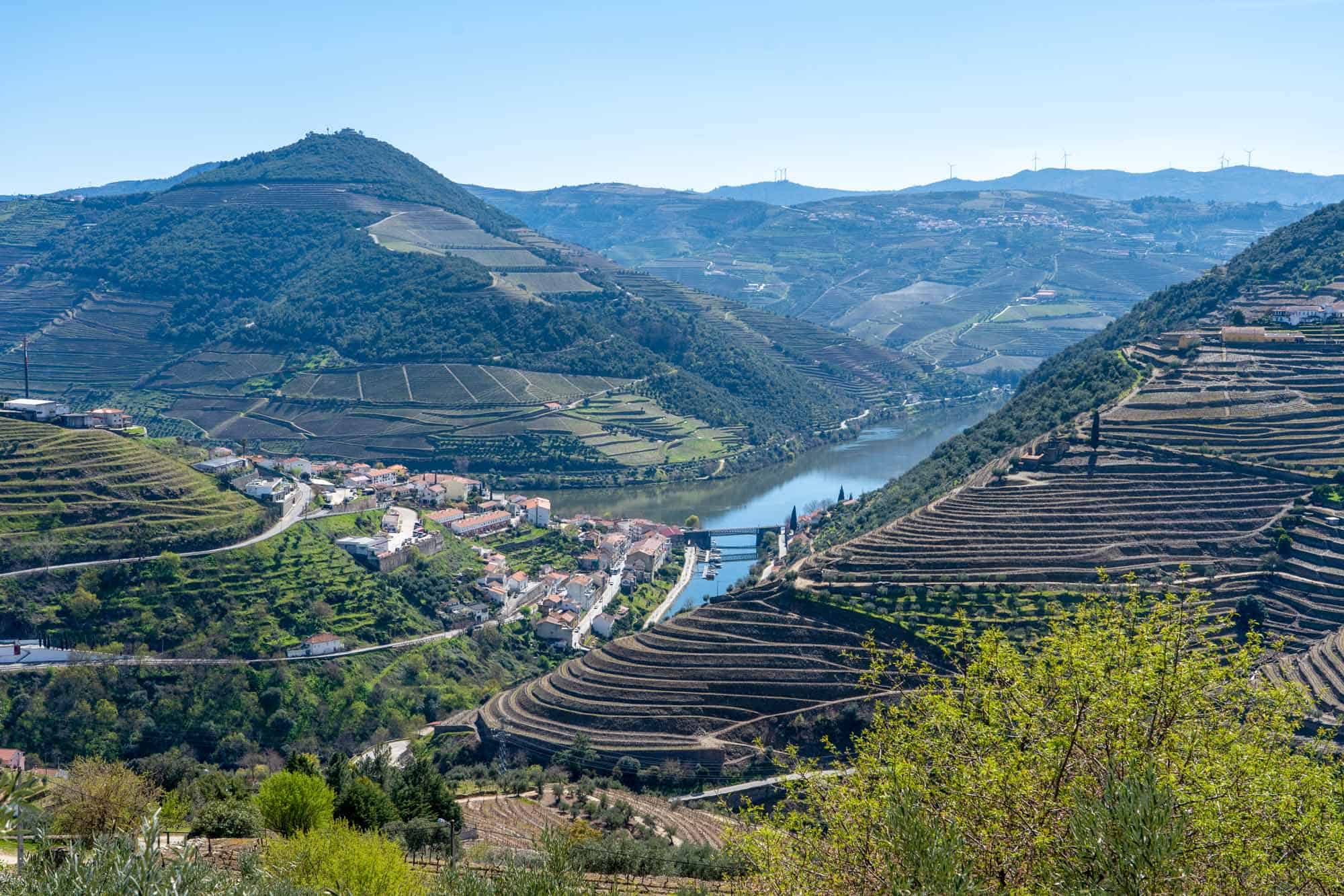 Douro Valley