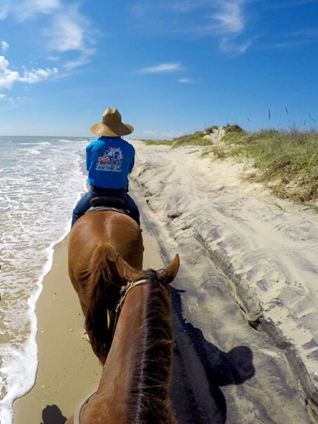 Things To Do on South Padre Island A Dangerous Business Travel Blog