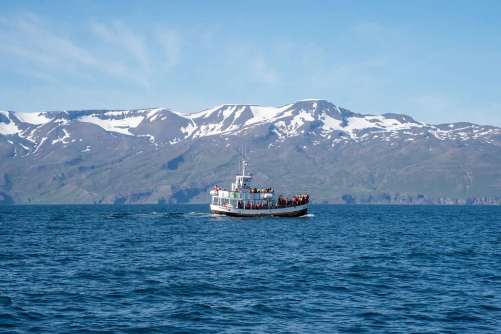 Whale watching boat in Husavik