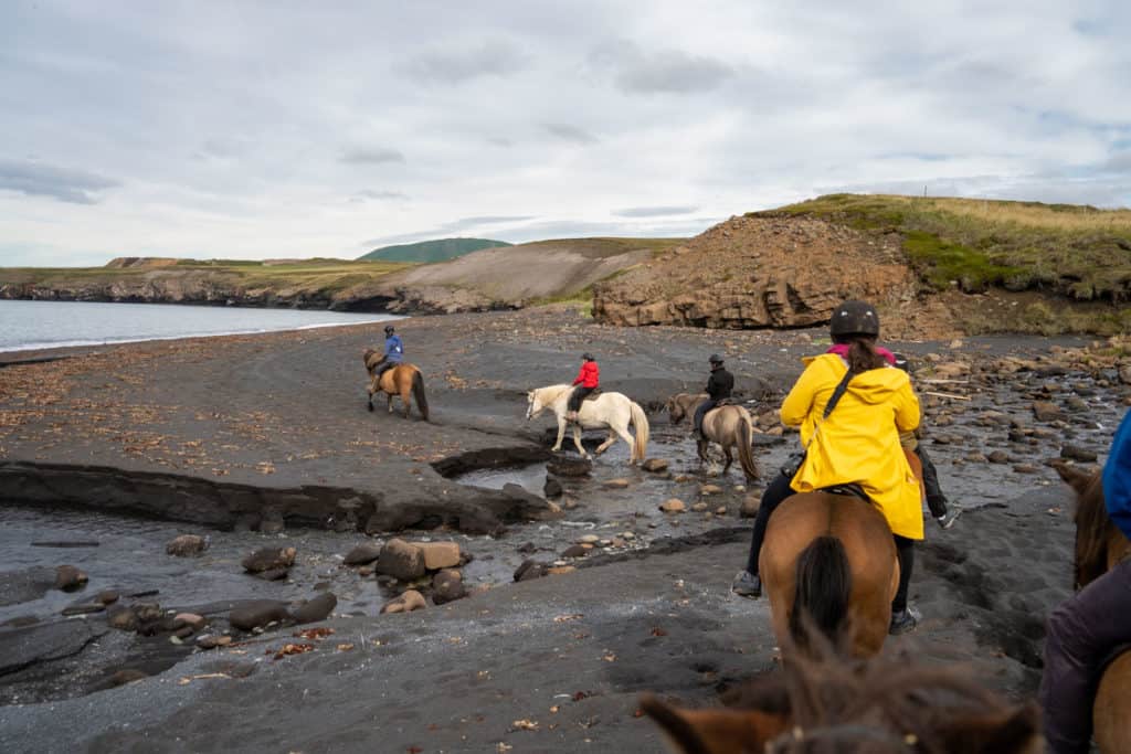 Horseback riding on a black sand beach