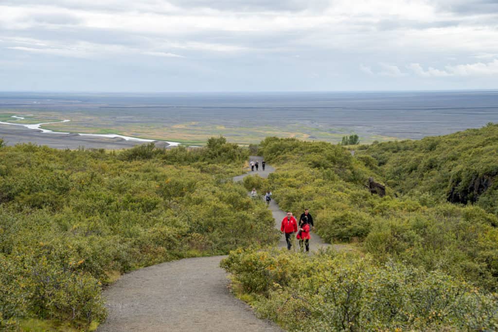 Hike to Svartifoss in Skaftafell