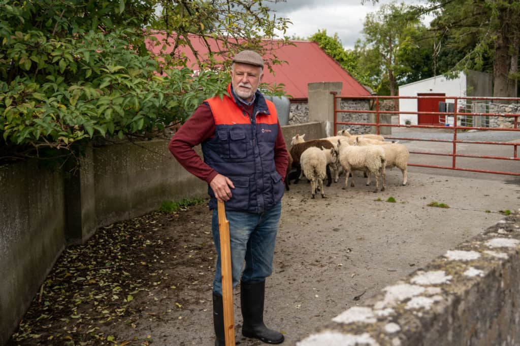 Irish farmer with sheep in the background