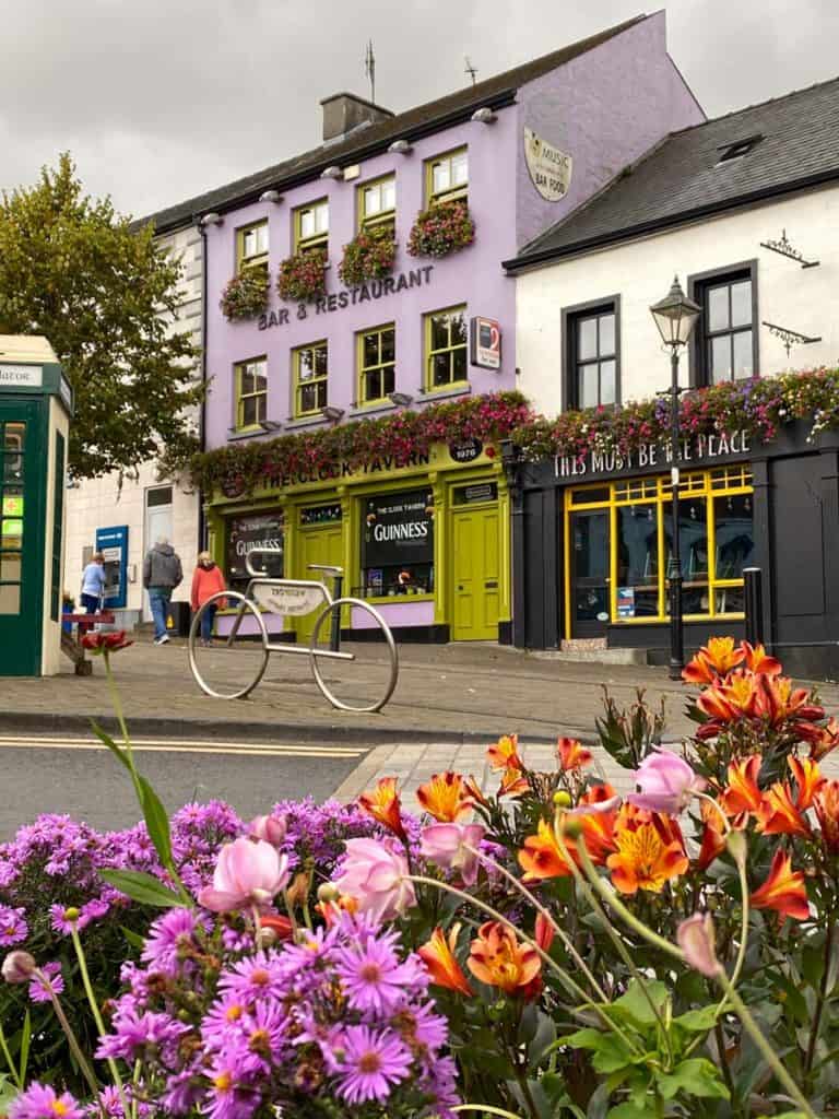 Colorful flowers and buildings in Westport