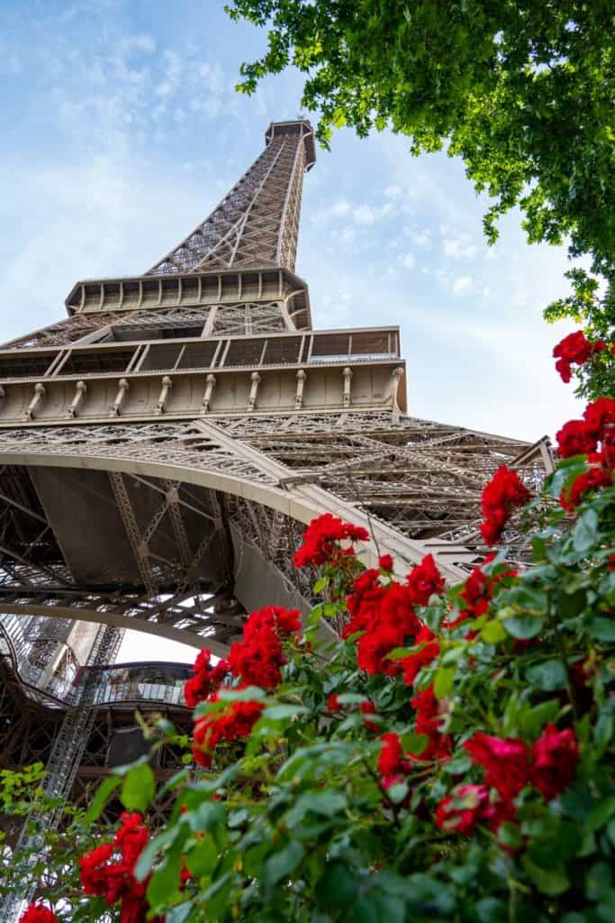 Eiffel Tower with red flowers
