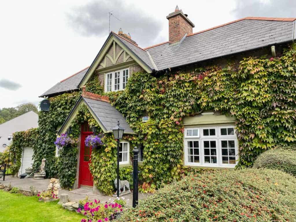 Ivy covered house in Westport