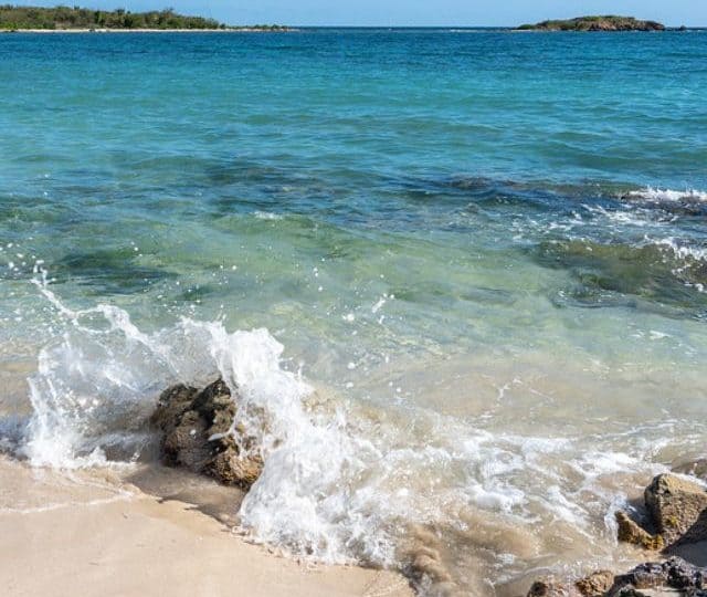 Vieques, Puerto Rico Guide