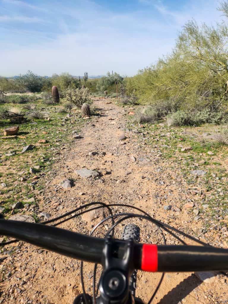 Mountain biking in Scottsdale