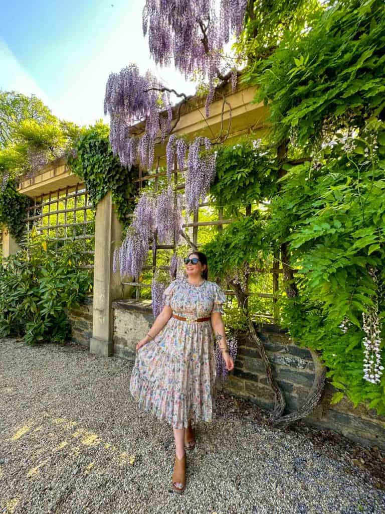 Amanda standing in front of falling wisteria