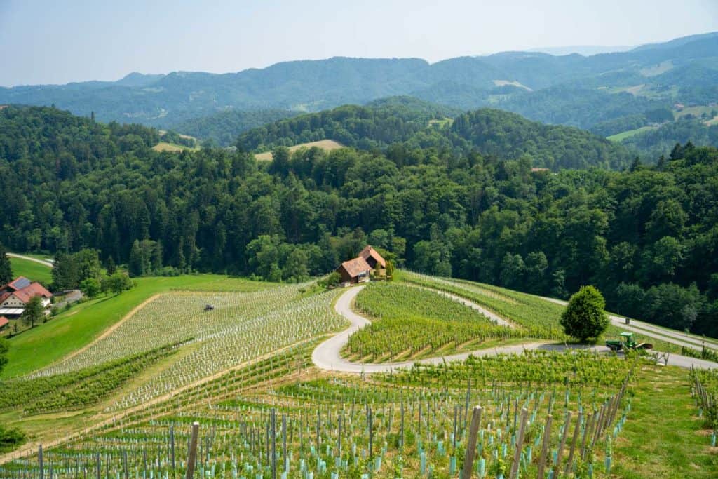 Heart road in Slovenia