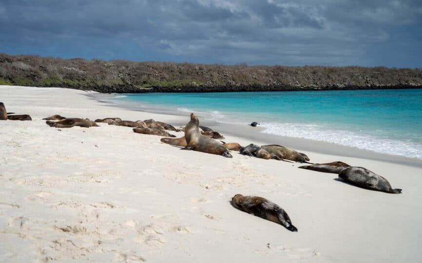 11 Things to Know Before Going on a Galapagos Cruise