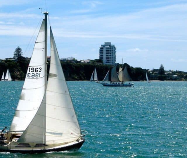 Things To Do In Auckland