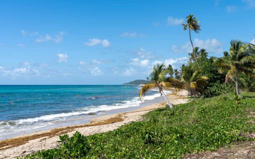12 Best Beaches in Vieques, Puerto Rico You Need to See for Yourself