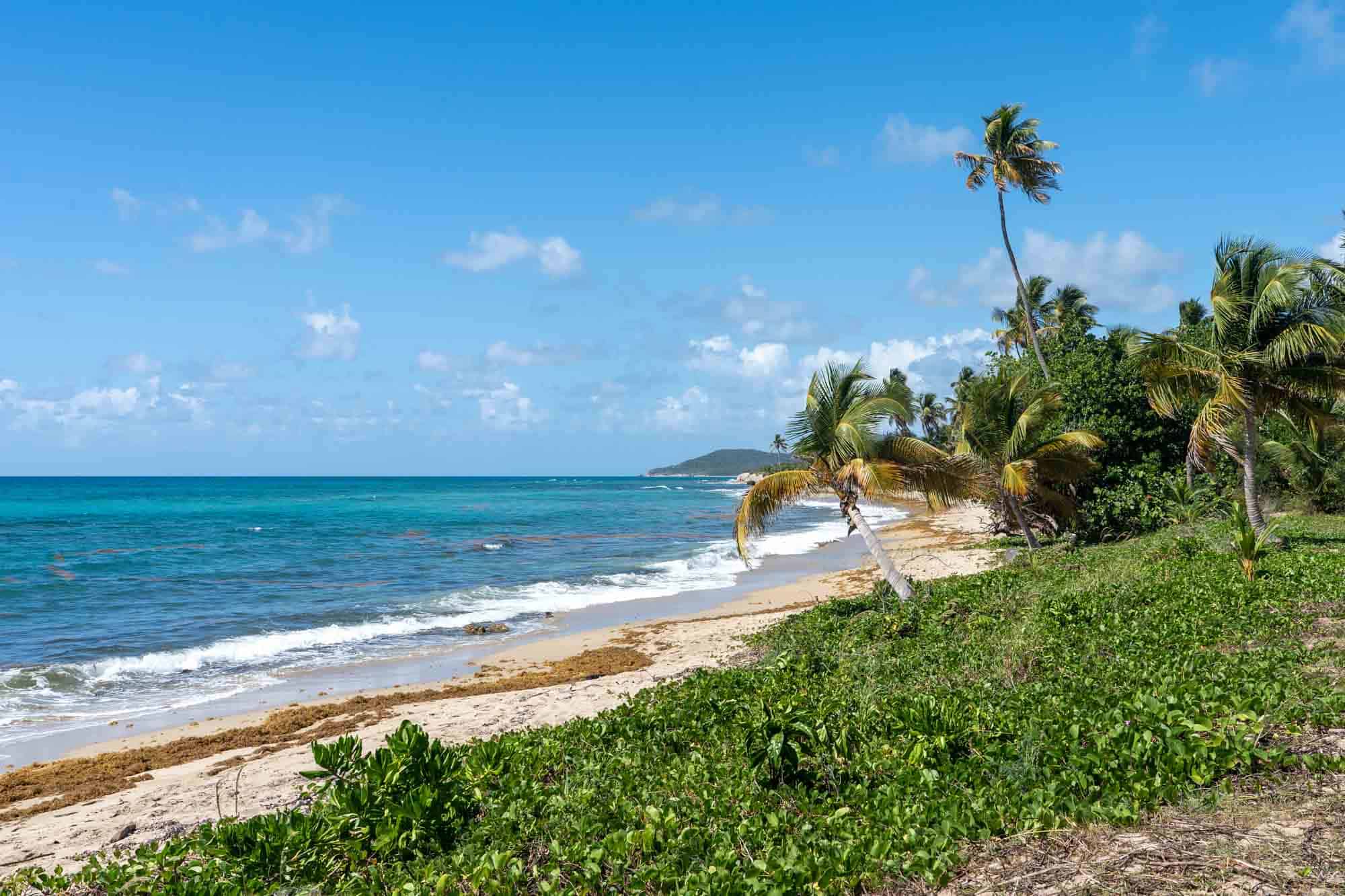 Coconut Beach on Vieques | Best Beaches in Vieques
