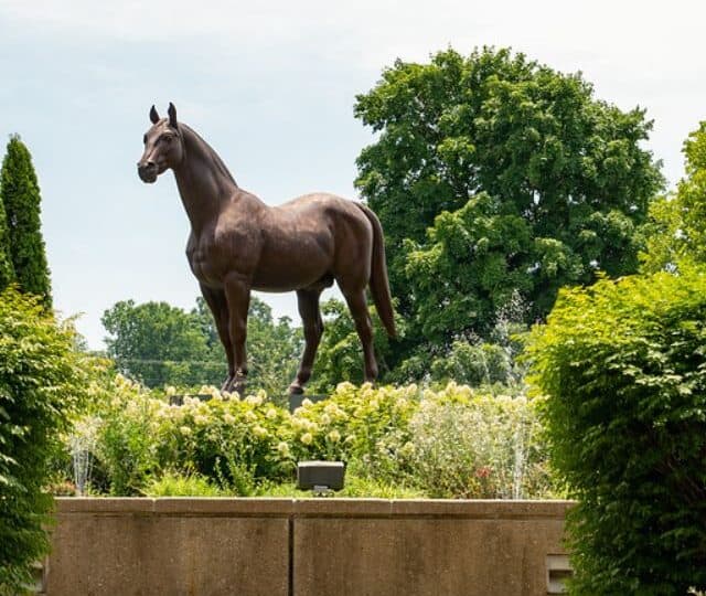 Things To Do In Lexington Kentucky