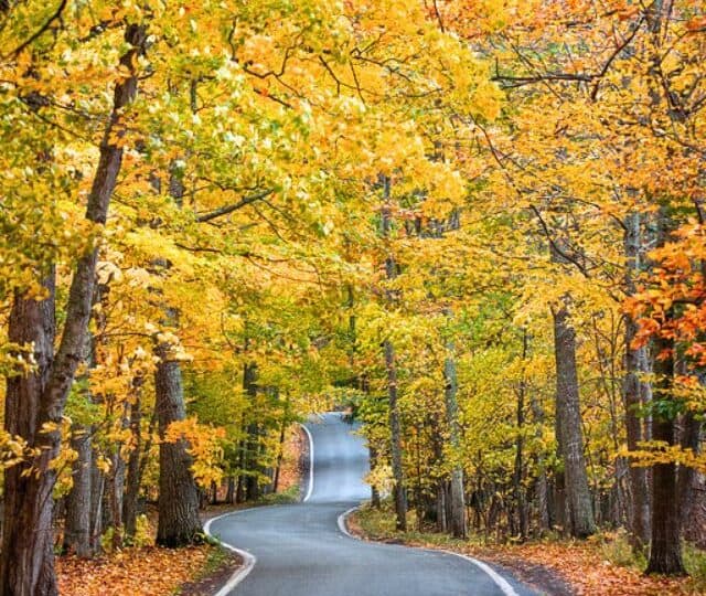 Michigan Road Trip