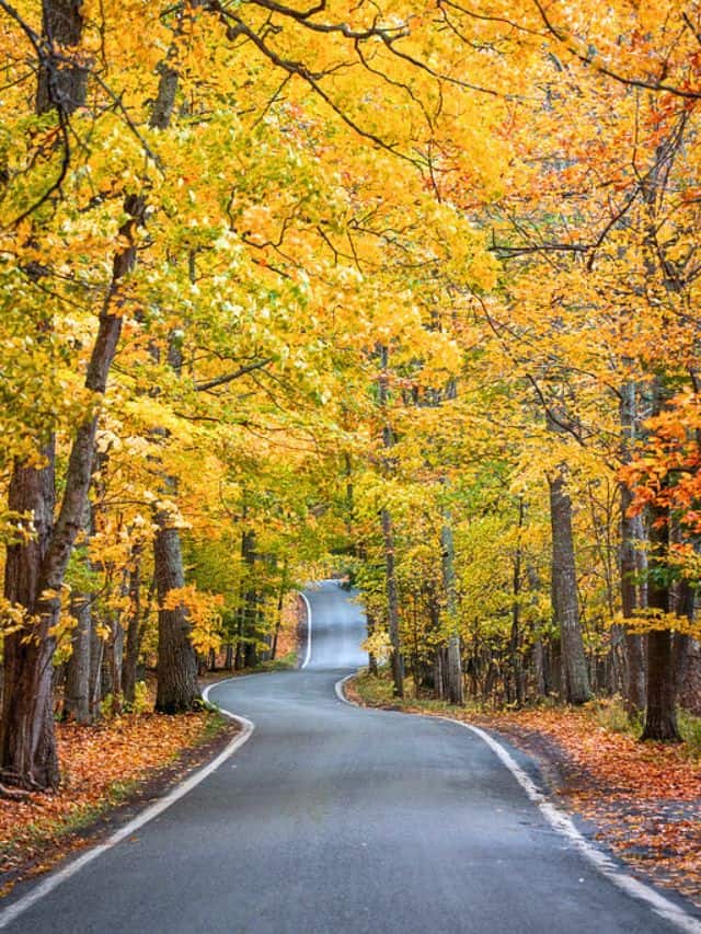 Michigan Road Trip