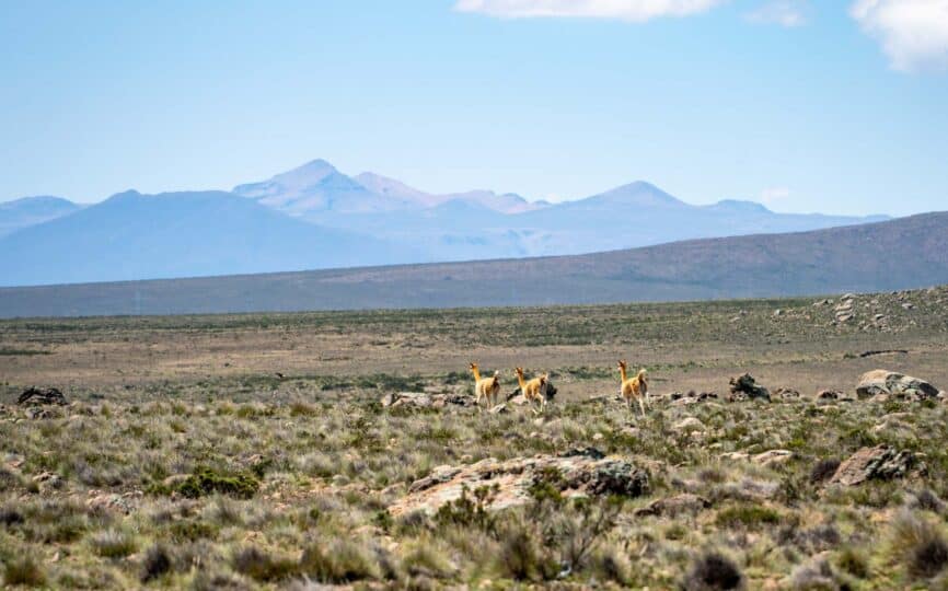 10 Tips for Dealing with High Altitude on Your Trip to Peru