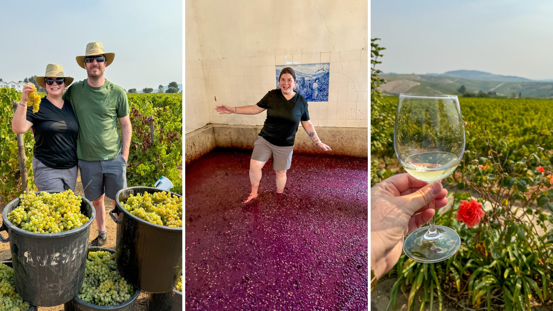 Wine harvest tour Douro Valley | Stomping grapes in Douro Valley