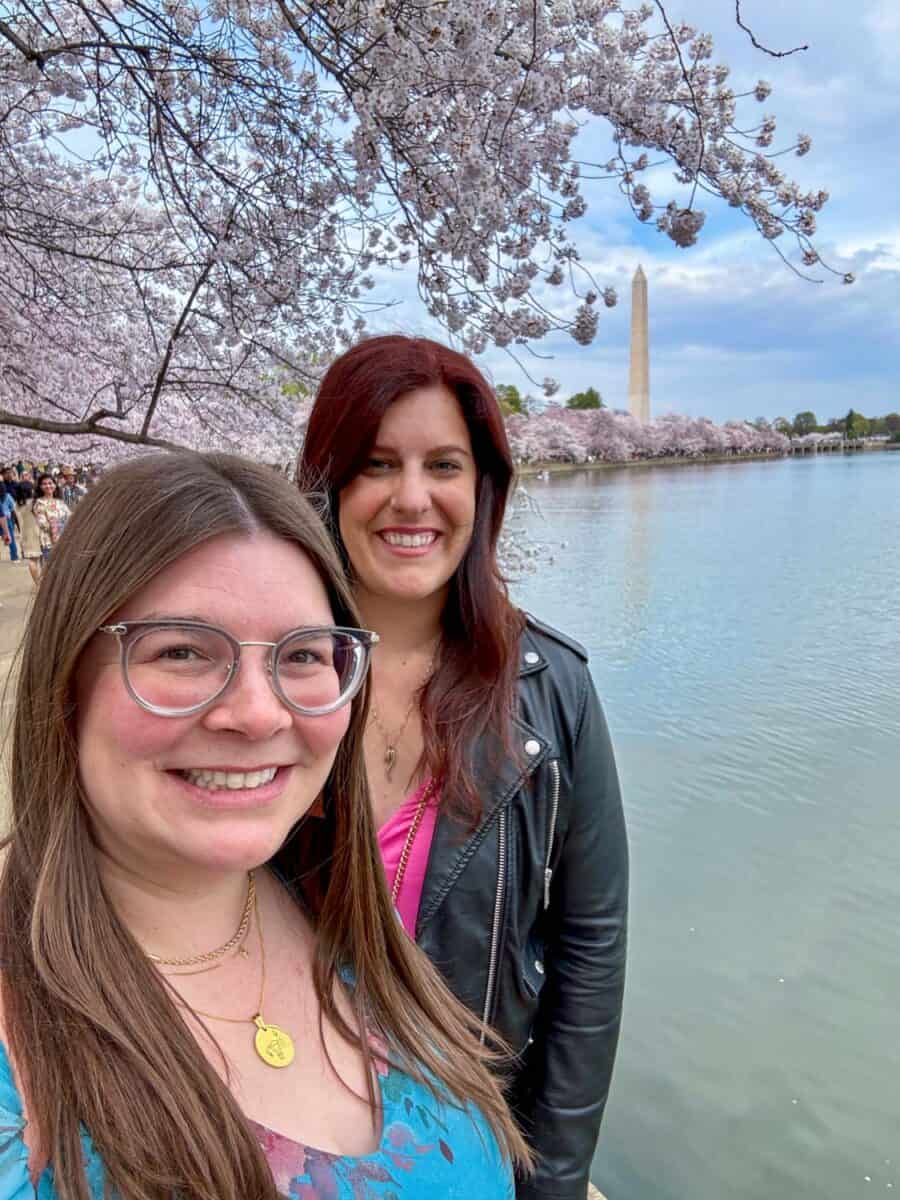 DC cherry blossoms