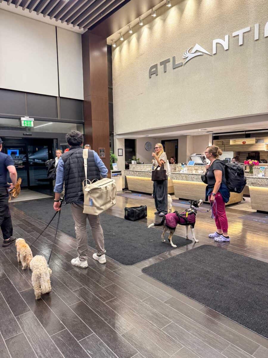 Boarding Vicuna Air pet charter