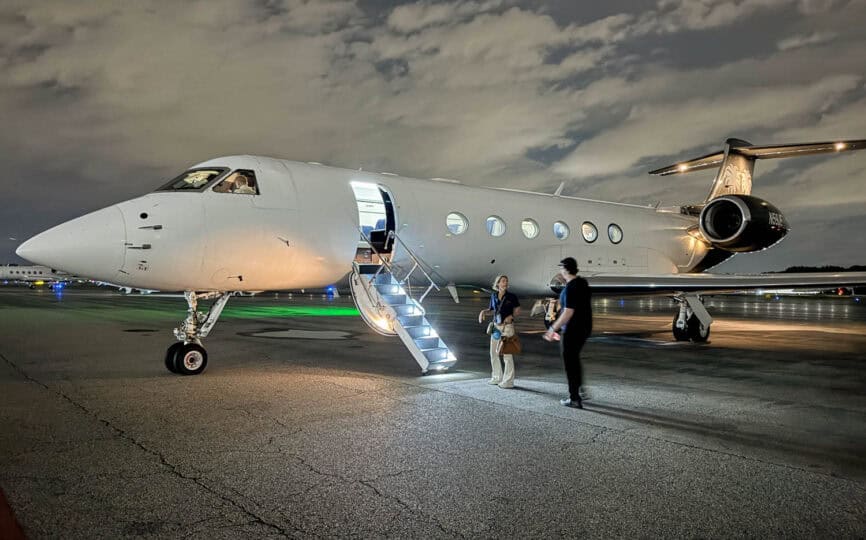 How We Moved Our Cat from the US to UK with Vicuna Air