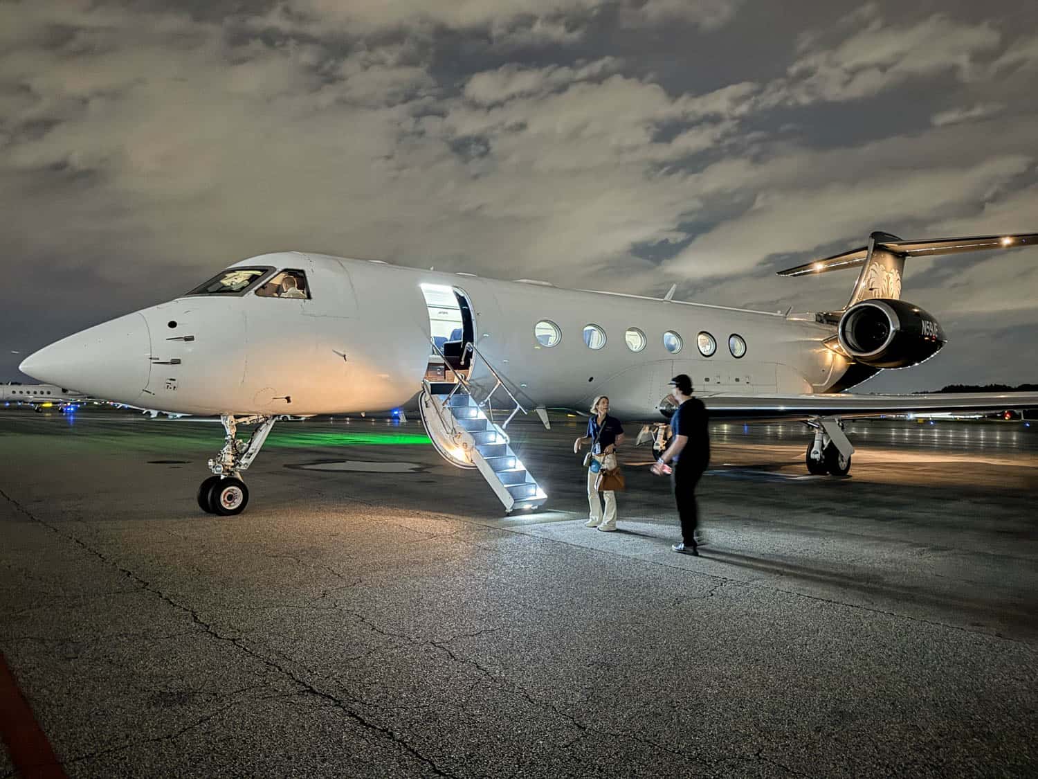 Vicuna Air pet charter Gulfstream GV | Moving a cat from US to UK